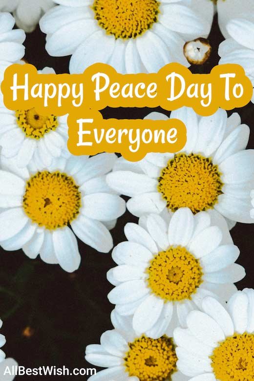 Happy Peace Day To Everyone