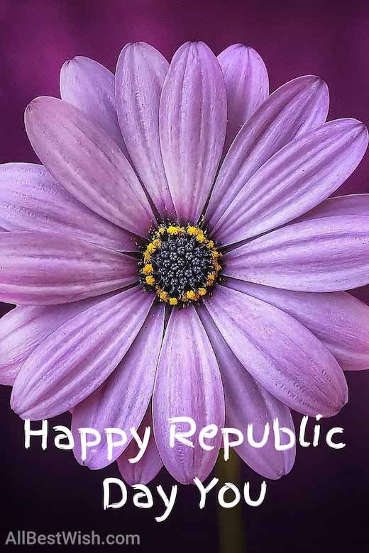 Happy Republic Day You