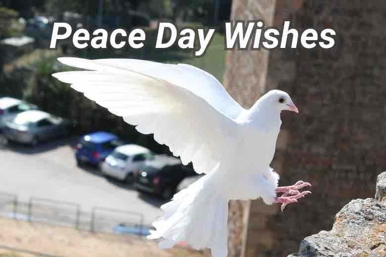 Peace Day Wishes