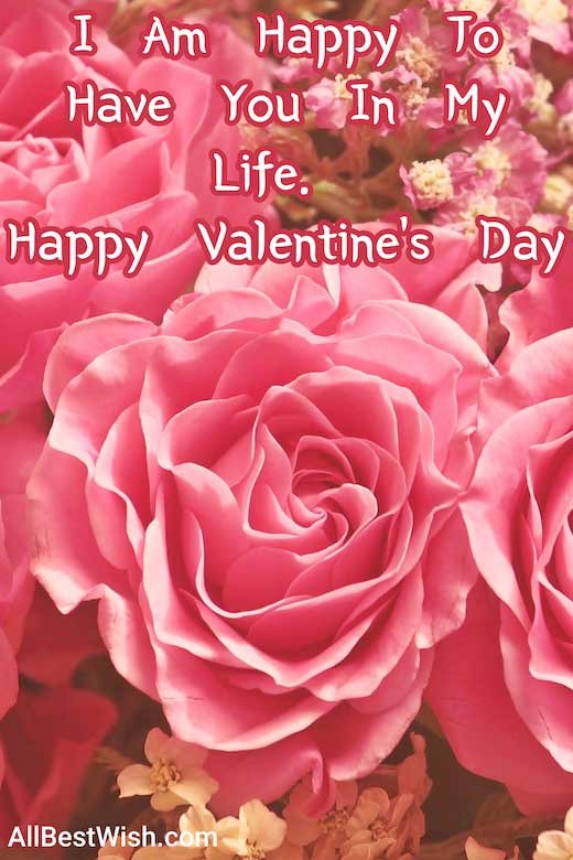 I Am Happy To Have You In My Iife. Happy Valentine’s Day
