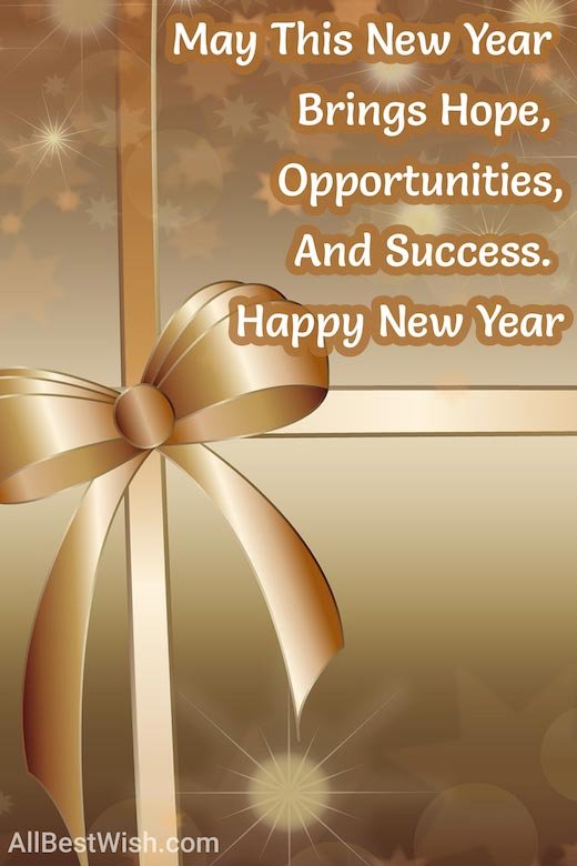 May This New Year Brings Hope, Opportunities, And Success. Happy New Year