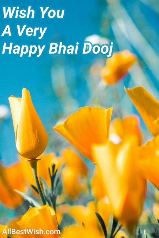 Wish You A Very Happy Bhai Dooj