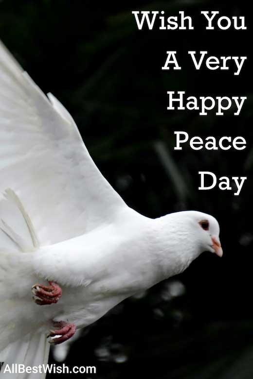 Wish You A Very Happy Peace Day